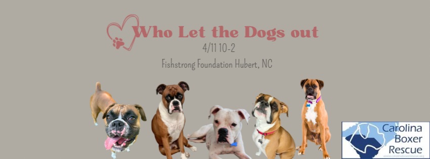 You are currently viewing Who let the dogs out