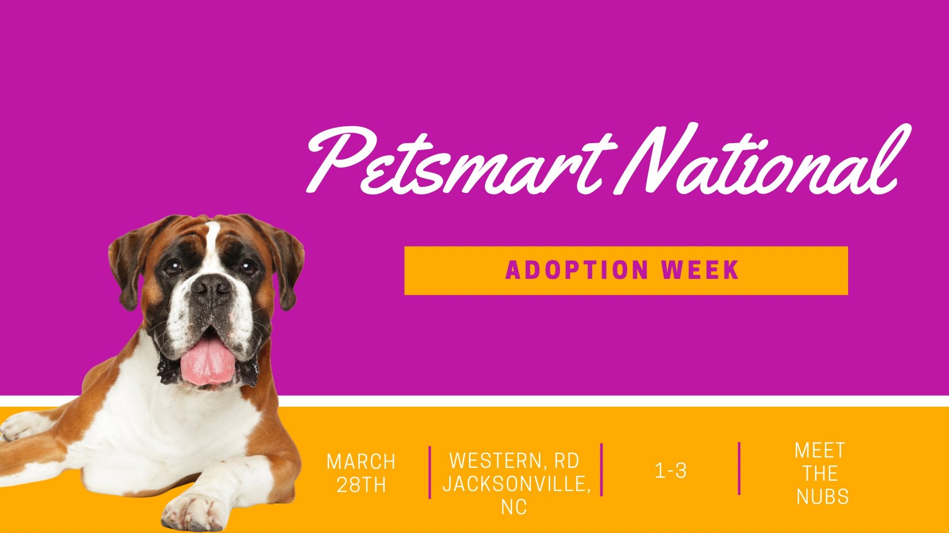 You are currently viewing Meet the Nubs