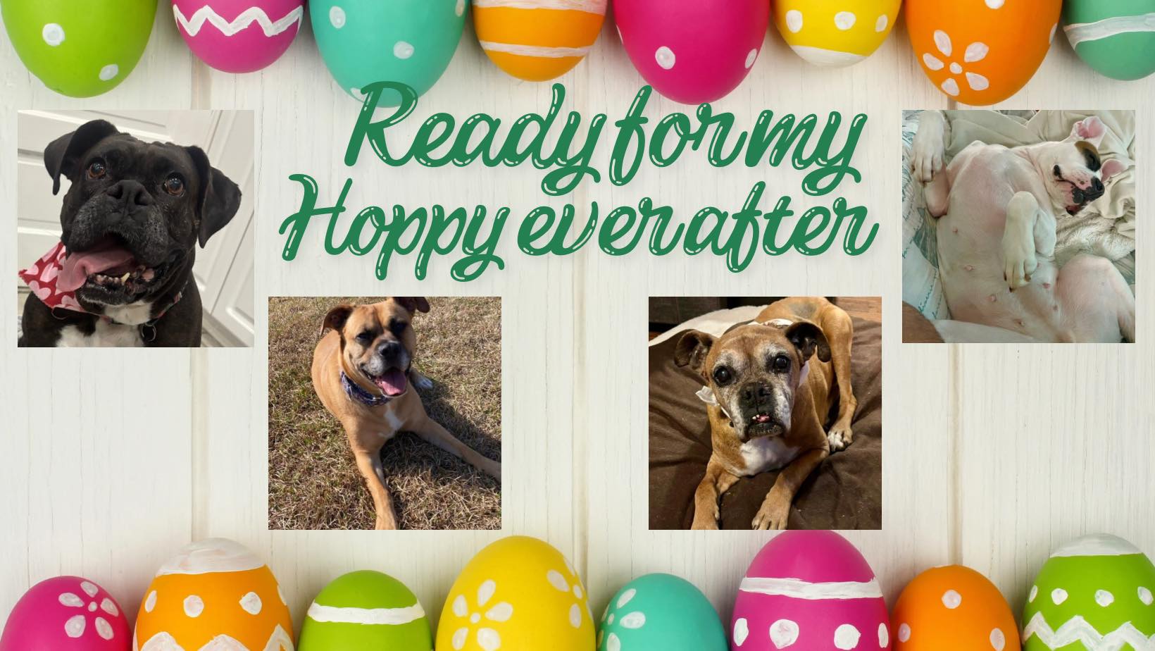 You are currently viewing Coffee & Conversation – The Real Rescue Story